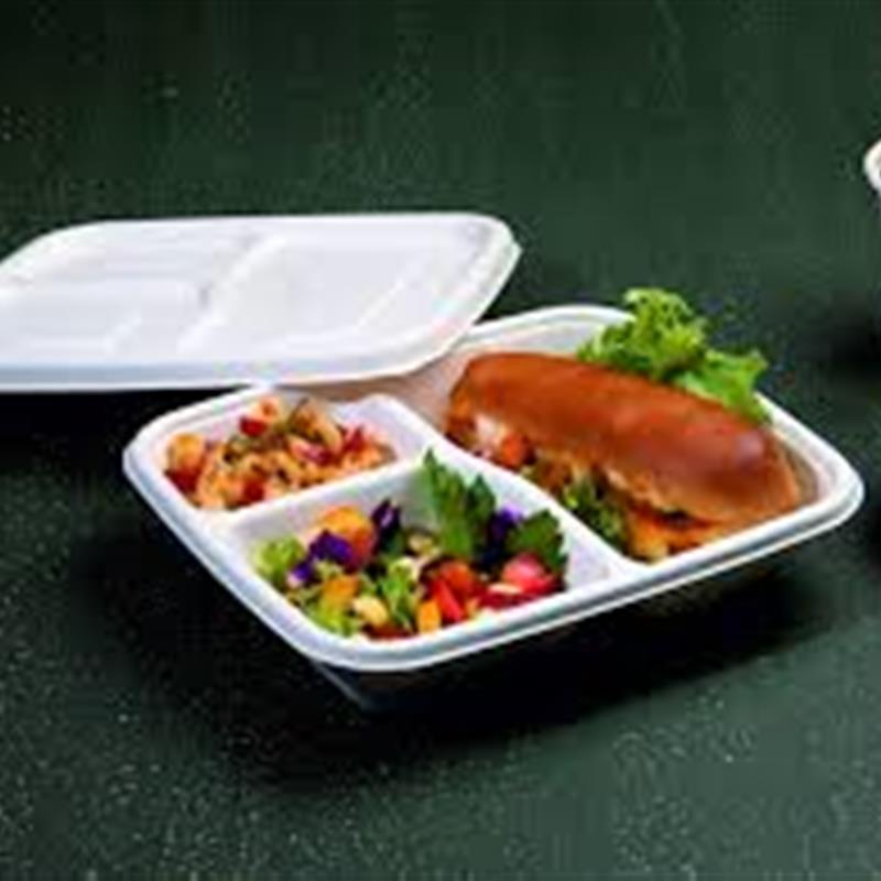 3 CP Bagasse Meal Tray With Lid