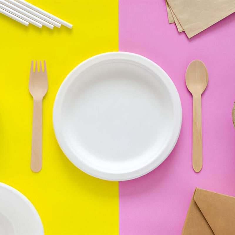 12 Inch Bagasse Round Plate
