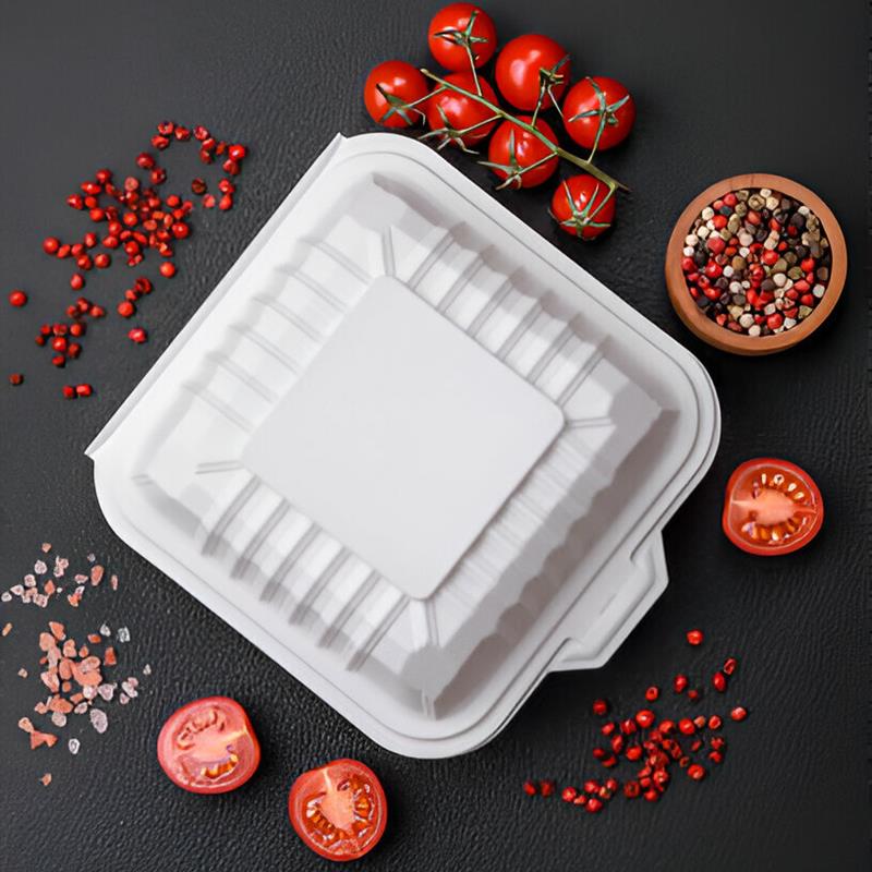 8x8 Inch Bagasse Clamshell