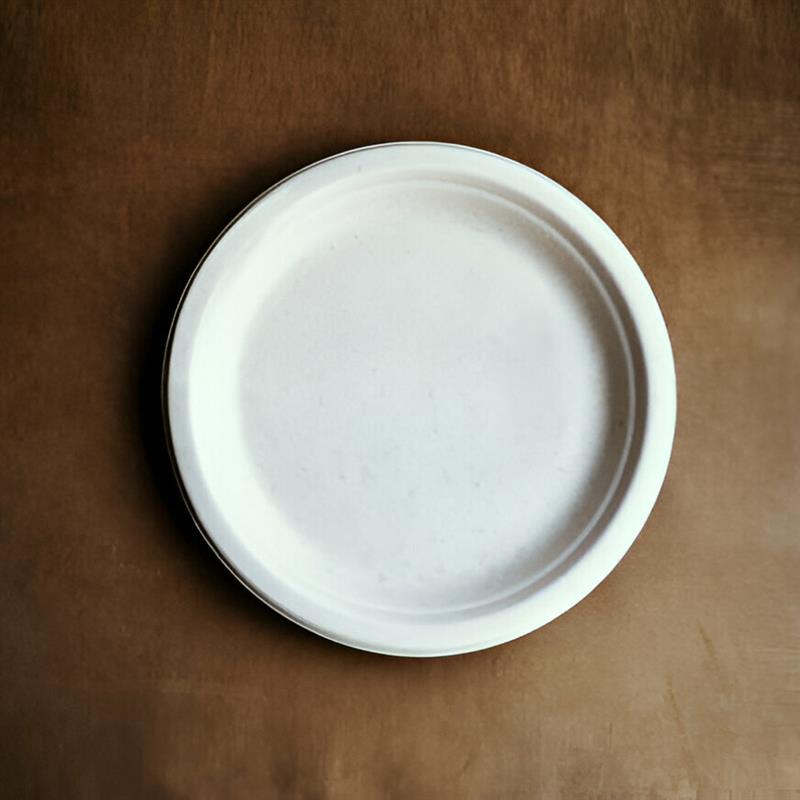 11 Inch Bagasse Round Plate